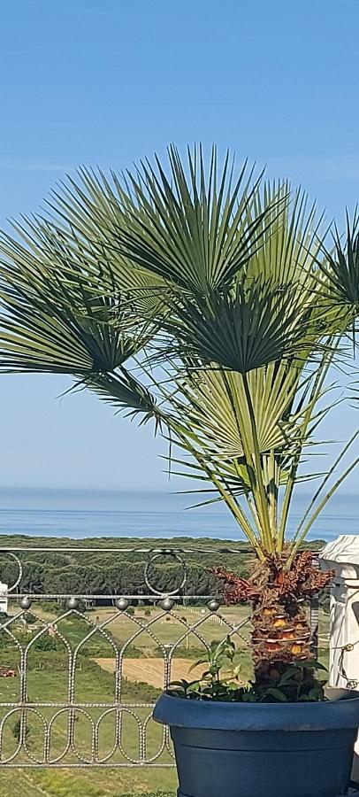 Villa Luiss Panorama Durres Bagian luar foto